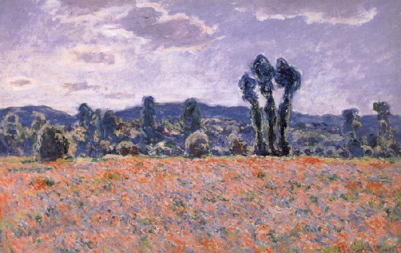 Claude Monet Poppy Field in Bloom